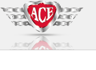 About Ace Auto Electrician